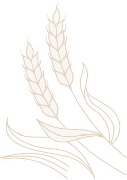 American Aviator Laureate Society Honors Awards